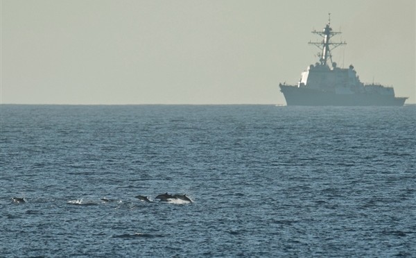 navyanddolphins